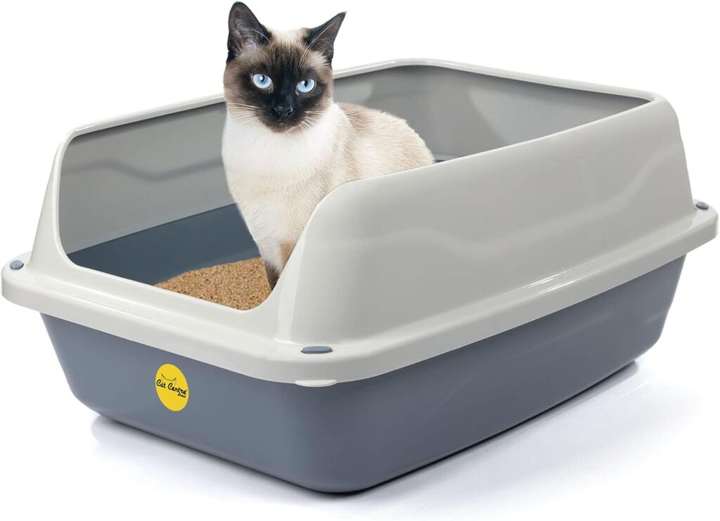 Cat litter box option 3 to buy