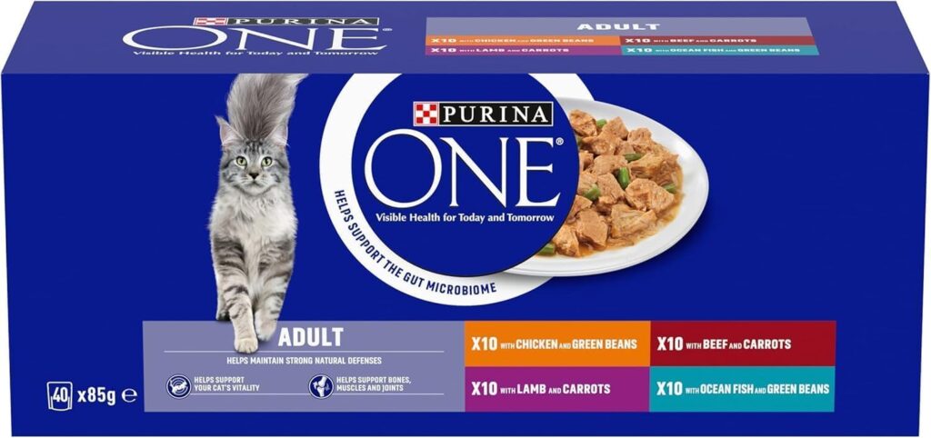 PURINA ONE Mini Fillets Mixed Selection in Gravy Wet Cat Food