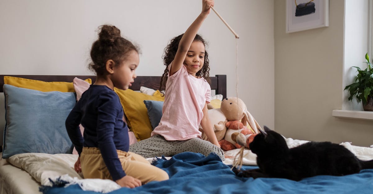 Kids Playing with Black Cat