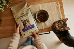 Owner reading a cat food label beside their cat